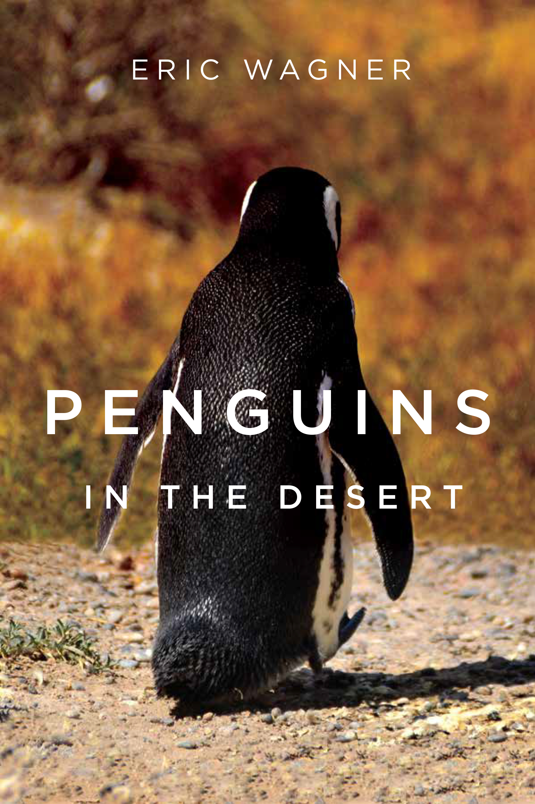 "Penguins in the Desert" by Eric Wagner