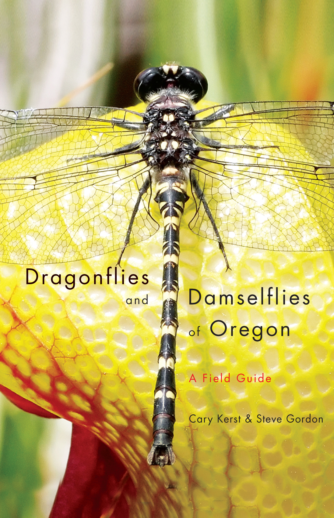Dragonflies cover