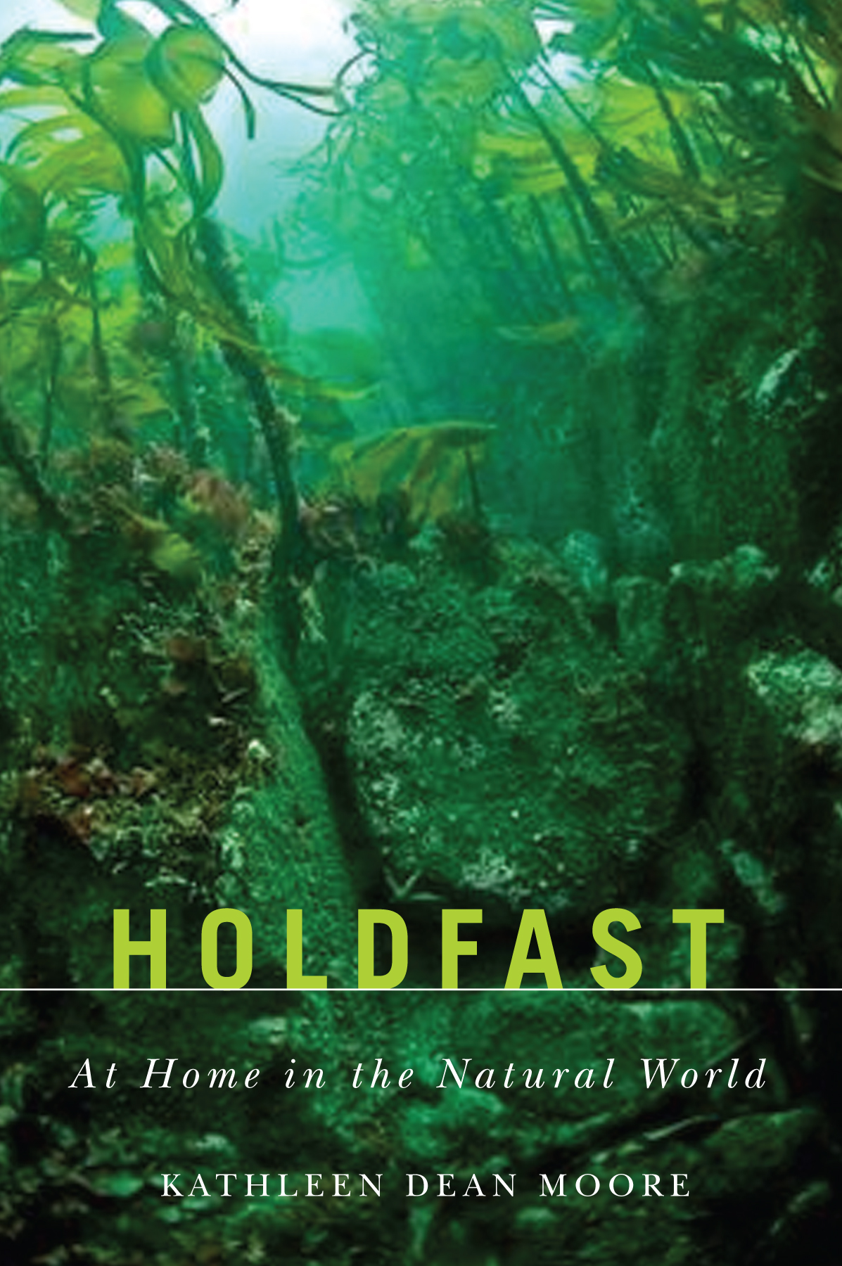 Holdfast cover