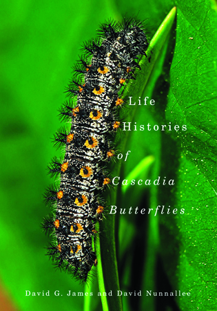 The Secret And Fascinating Life Of A Butterfly