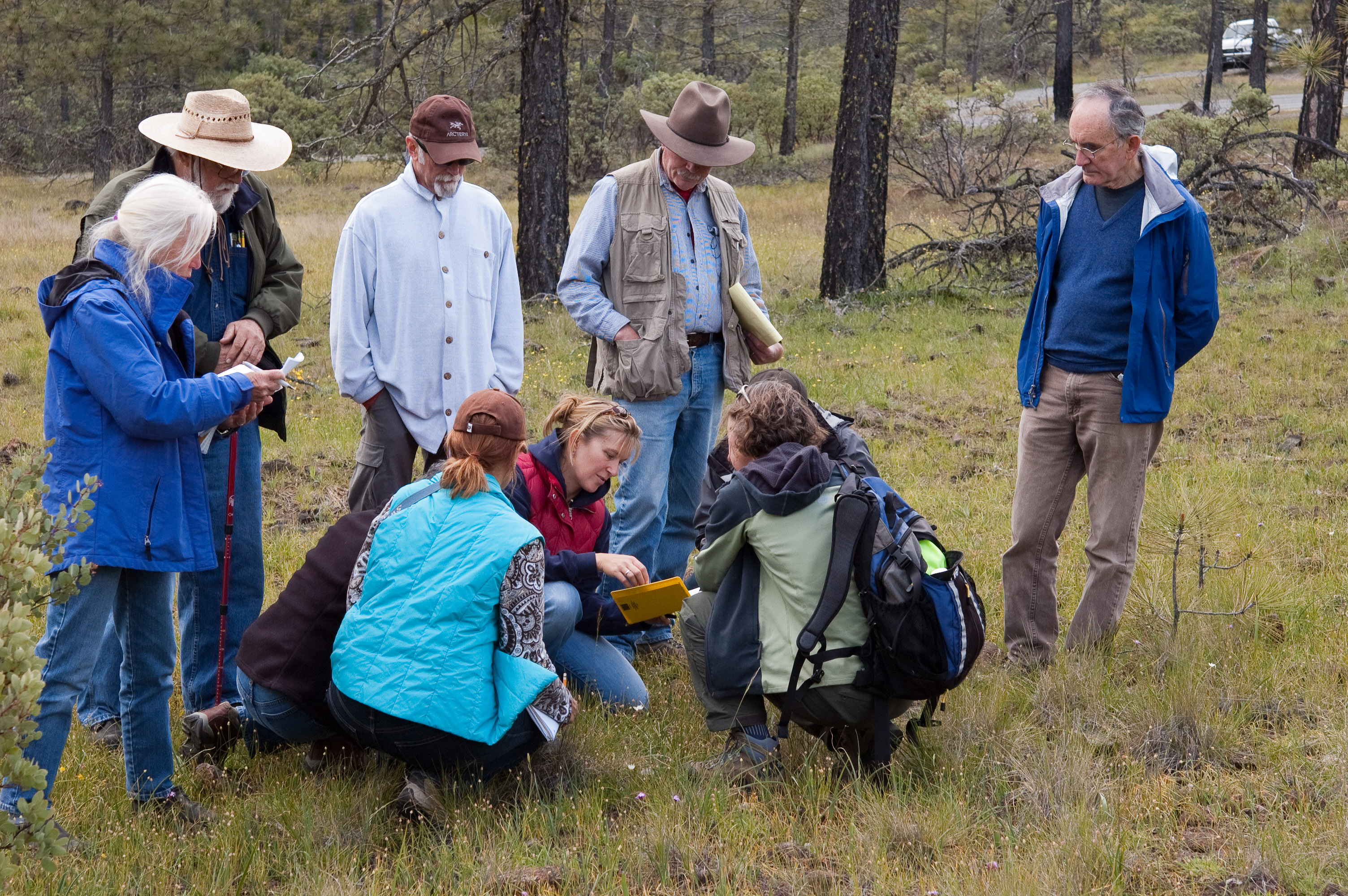 Grass workshop hosted by the Siskiyou Field Institute at Deer Creek Center. Photo by Robert Korfhage.